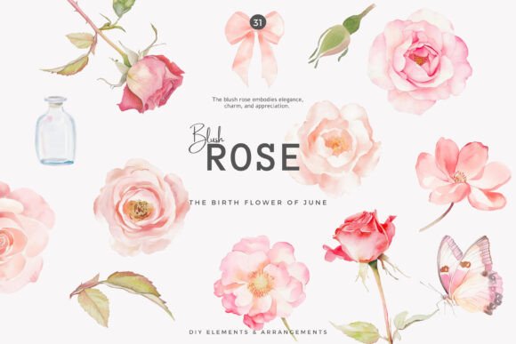 Download Watercolor Clipart Birth Month Flower - Birth month flower Collection