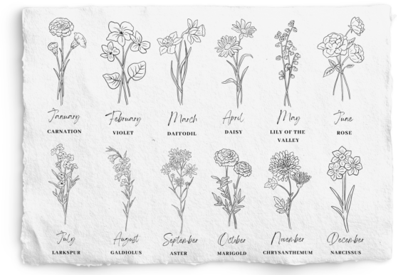 Download Birth Month Flower SVG and PNG Bundle - Birth month flower Collection