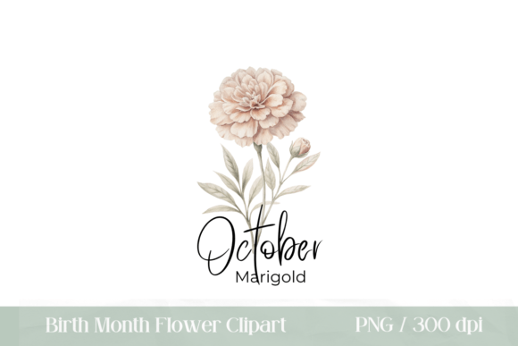Download Birth Month Flower Marigold PNG - Birth month flower Collection